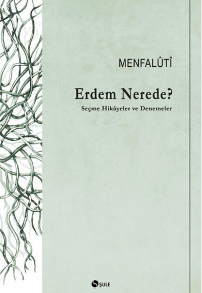 Erdem Nerede? Seçme Hikayeler ve Denemeler