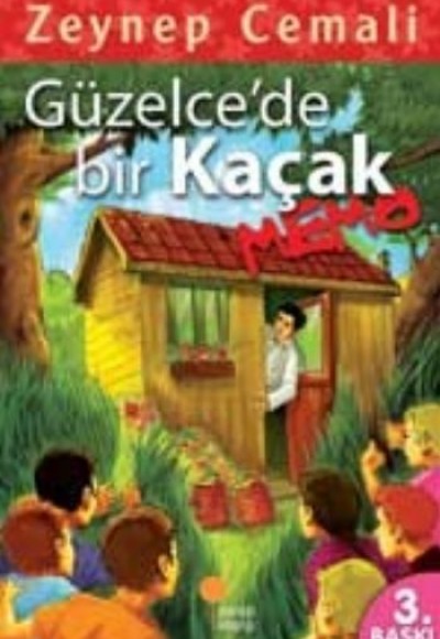 Güzelcede Bir Kaçak, Memo