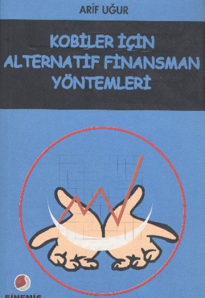 Kobiler İçin Alternatif Finansman Yöntemleri