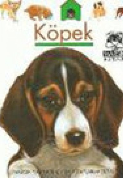 Köpek / İlk Kitaplarım Dizisi