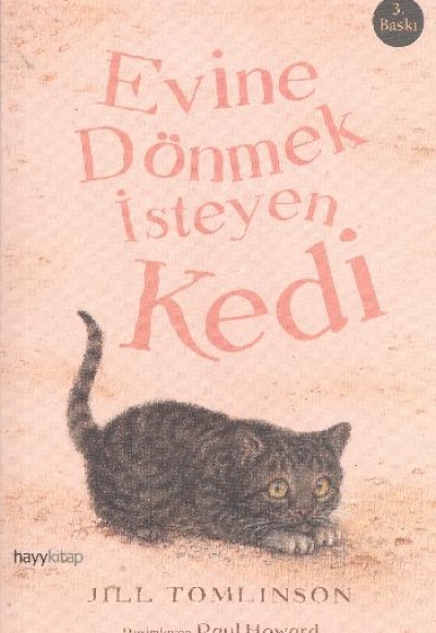 Evine Dönmek İsteyen Kedi