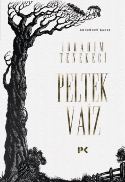 Peltek Vaiz