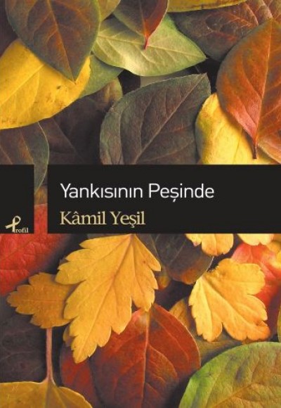 Yankısının Peşinde