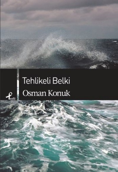 Tehlikeli Belki