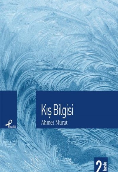 Kış Bilgisi