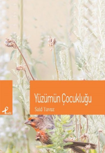 Yüzümün Çocukluğu