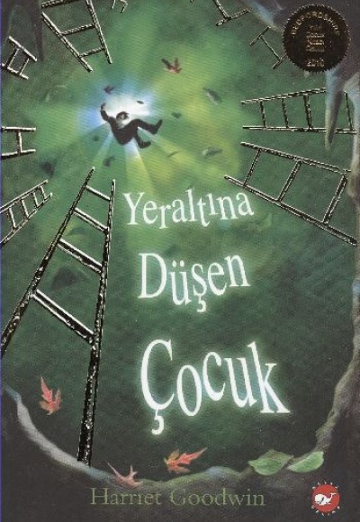 Yeraltına Düşen Çocuk