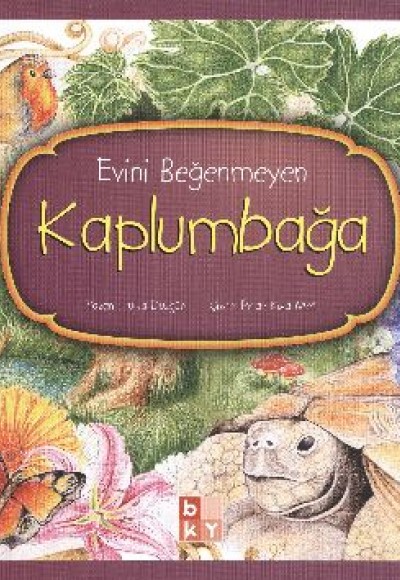 Evini Beğenmeyen Kaplumbağa