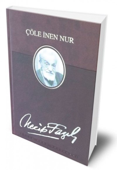 Çöle İnen Nur (Deri Ciltli)