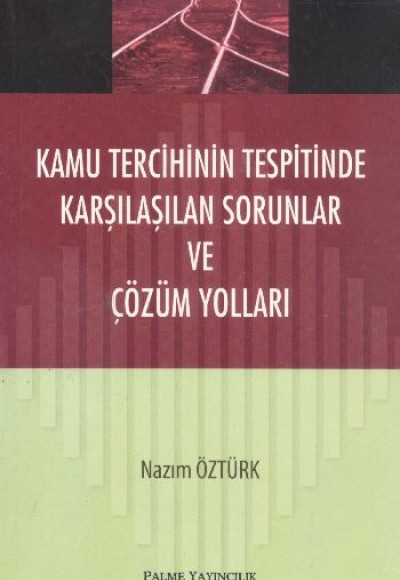 Kamu Tercihinin Tespitinde Karşılaşılan Sorunlar ve Çözüm Yolları