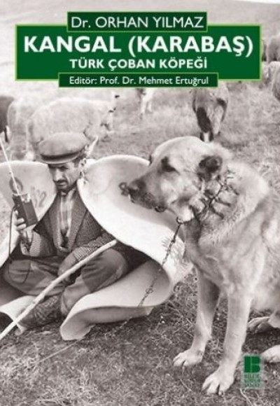 Kangal (Karabaş) Türk Çoban Köpeği