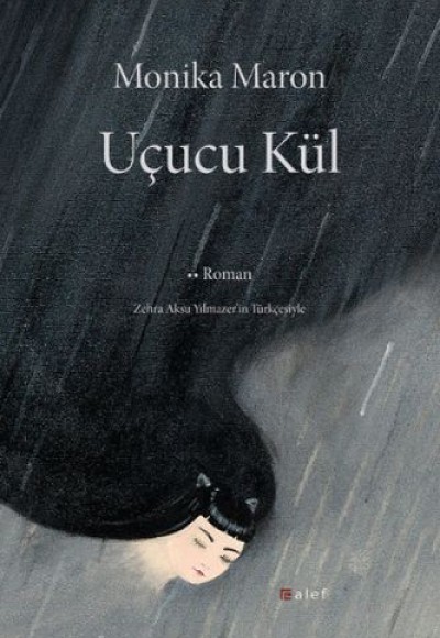 Uçucu Kül