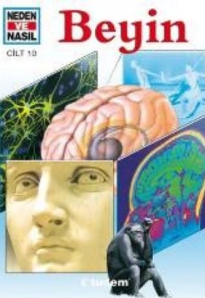 Beyin / Neden ve Nasıl-10