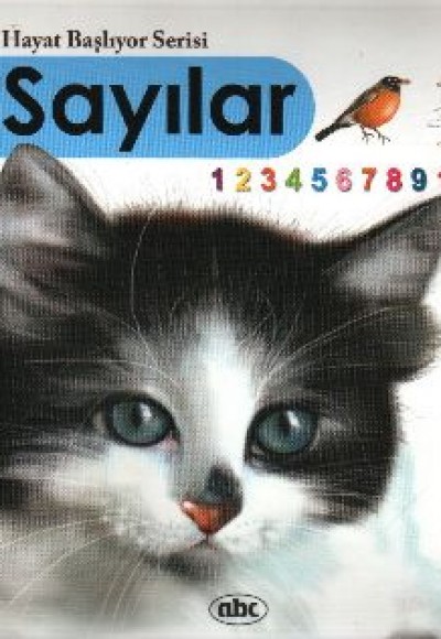 Sayılar (Kitap + İnteraktif CDRom) (Ciltli)