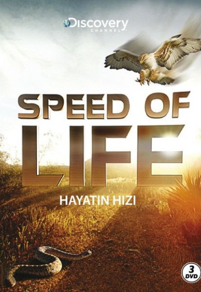 Speed Of Life - Hayatın Hızı