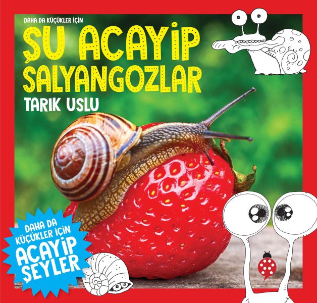 Sessiz Okyanus