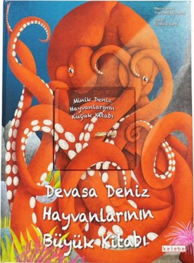Sessiz Okyanus